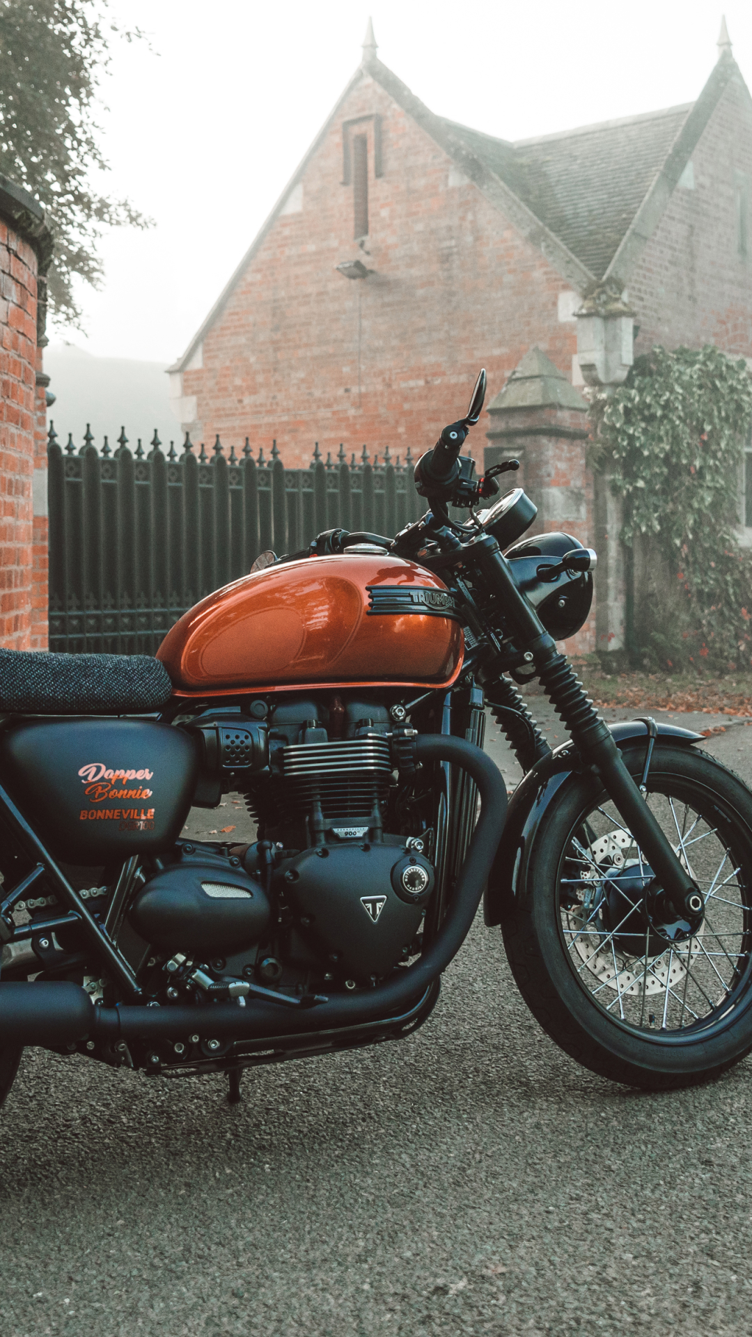 Download Motorcycle Vehicle Triumph