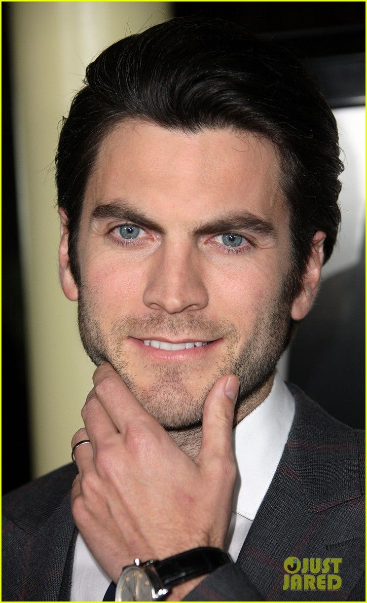 amanda seyfried wes bentley gone