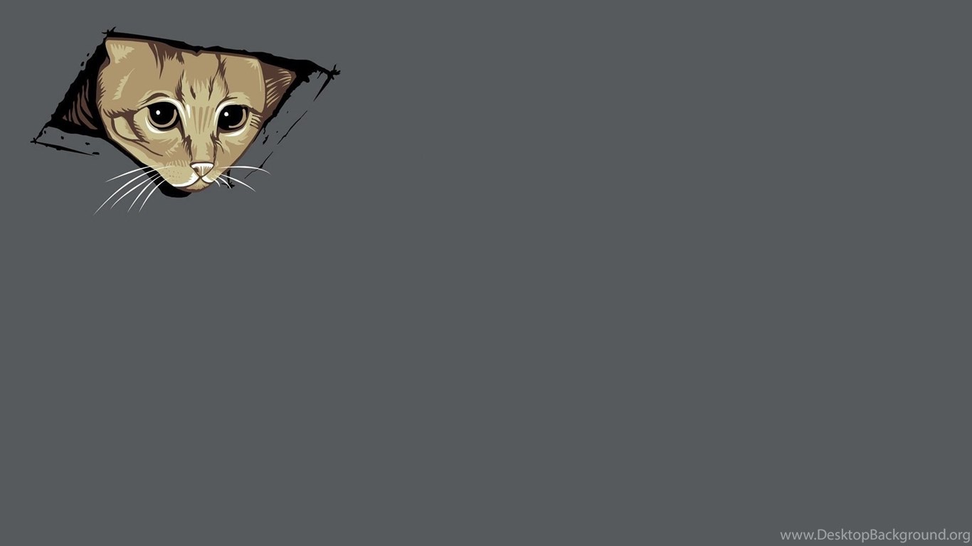 Abstract, Cats, Kittens, Ceiling Cat