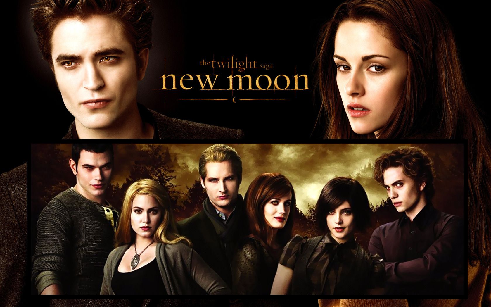 The Cullen Family in New Moon