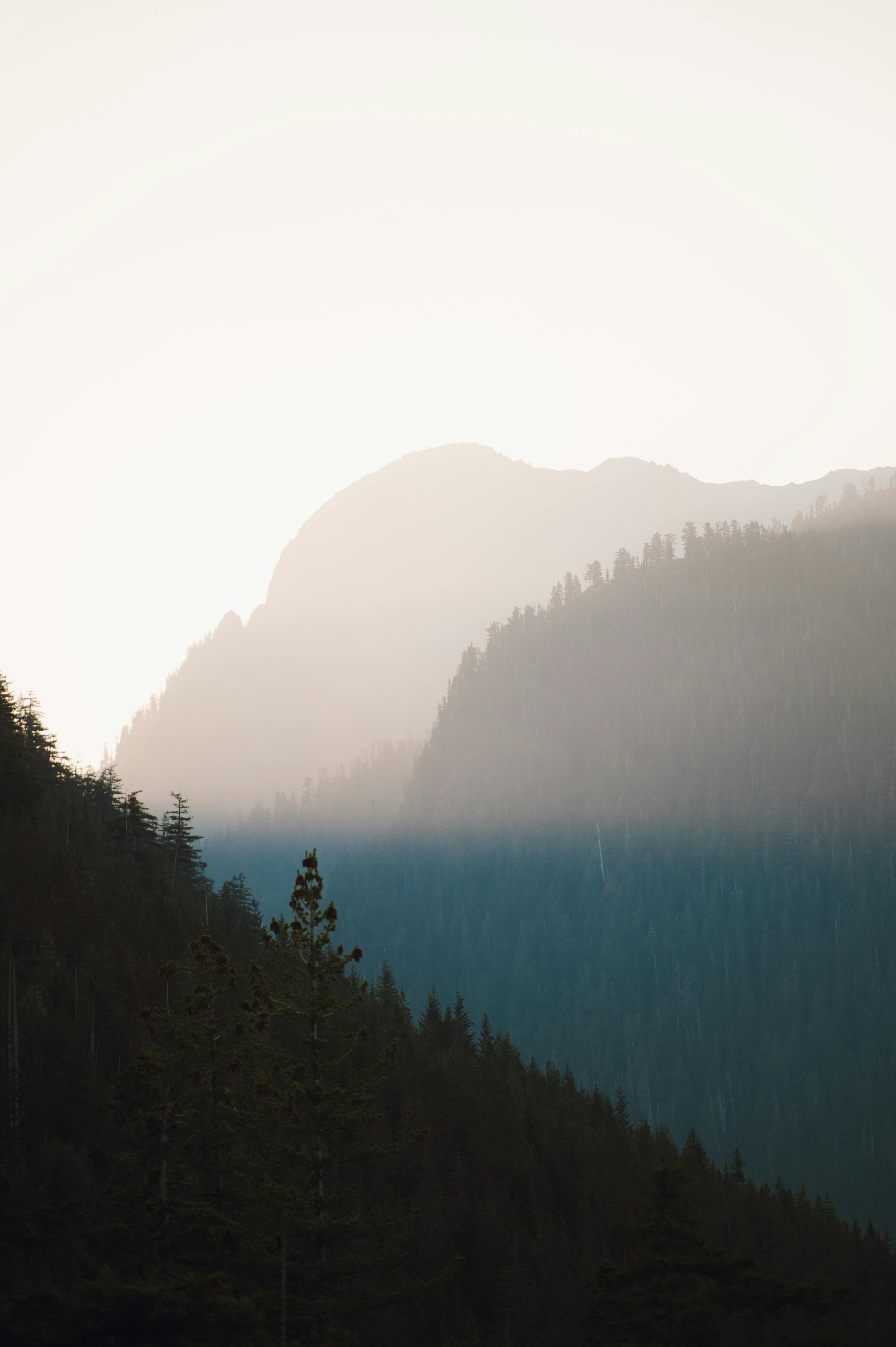 Foggy Mountain Landscape · Free