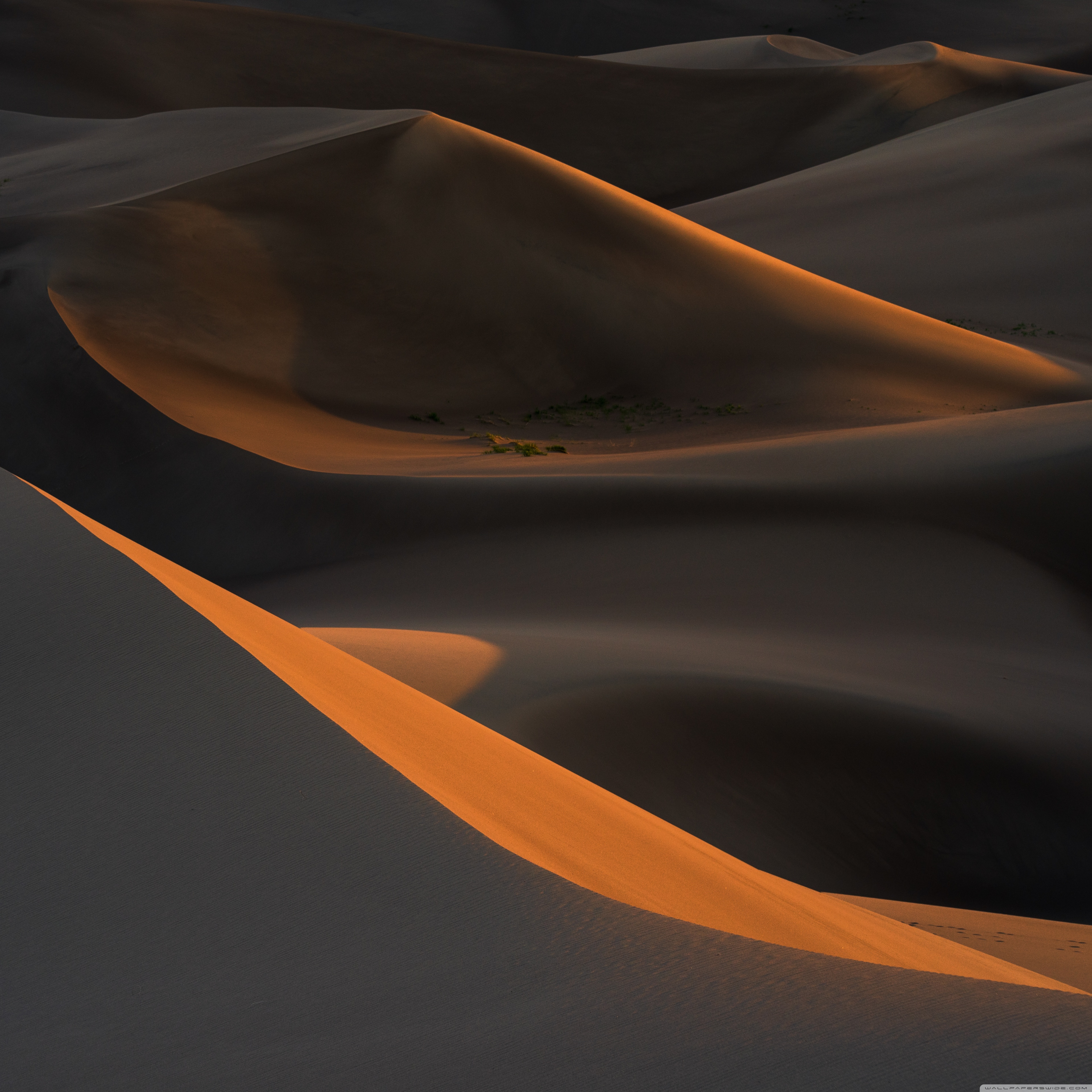 Sand Dunes at Sunset Ultra HD Desktop