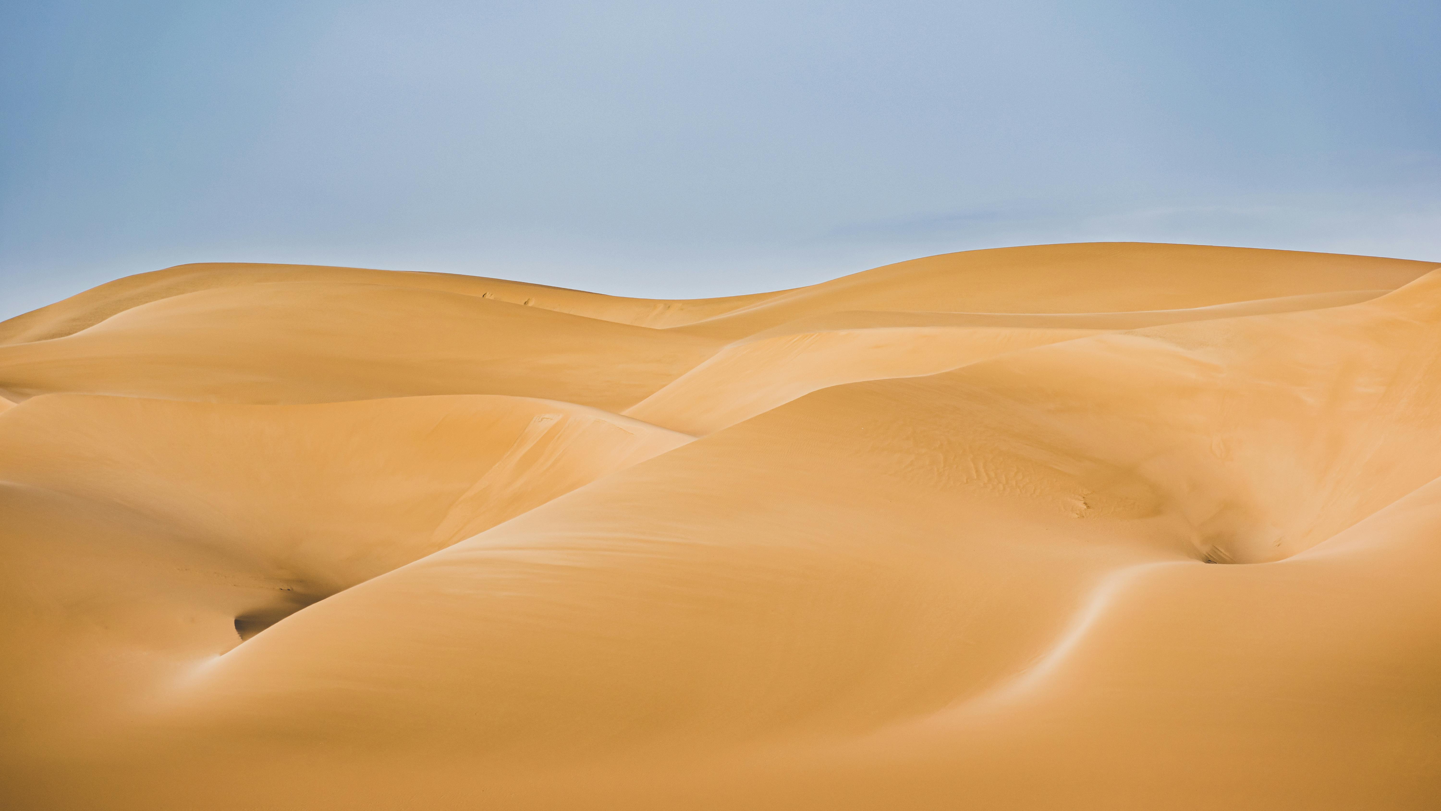 Dunes in a Desert · Free