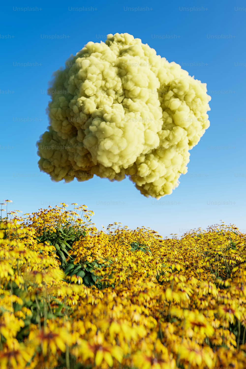 Yellow Aesthetic Picture