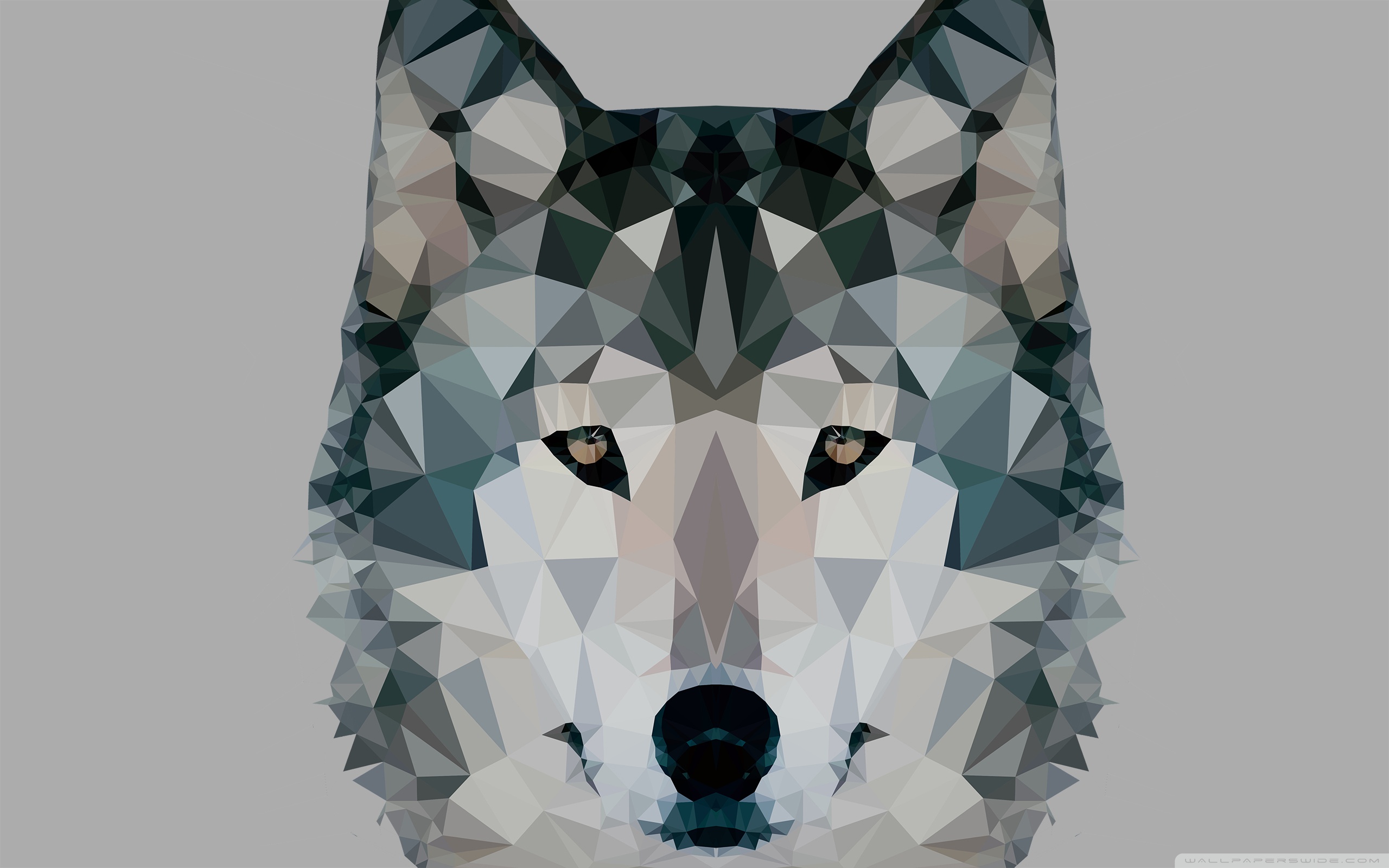Low Polygonal Wolf Ultra HD Desktop