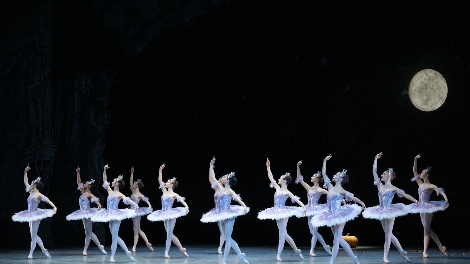 If the pointe shoe fits, dance in it