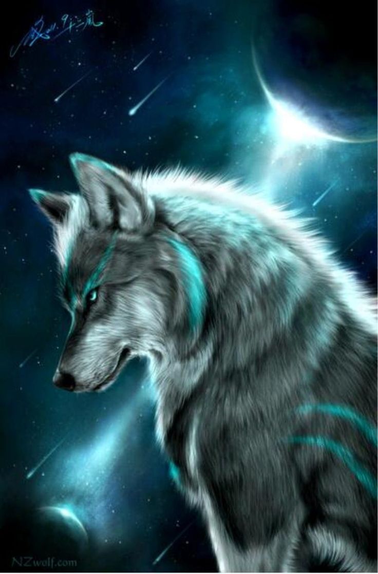 Nocturnal Wolf Prints Diamond Paintings