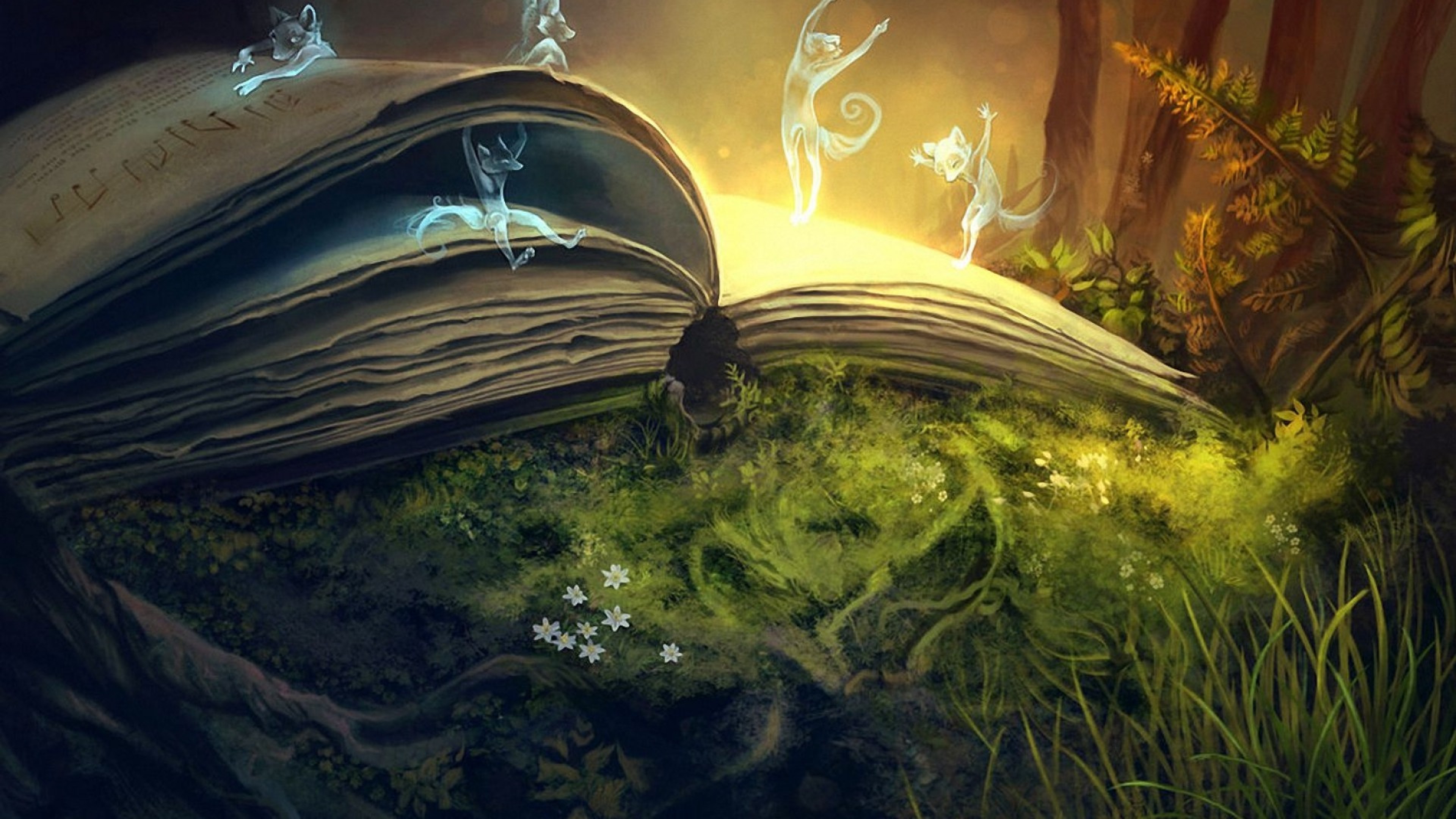 Story Time HD Wallpaper 4K Ultra HD