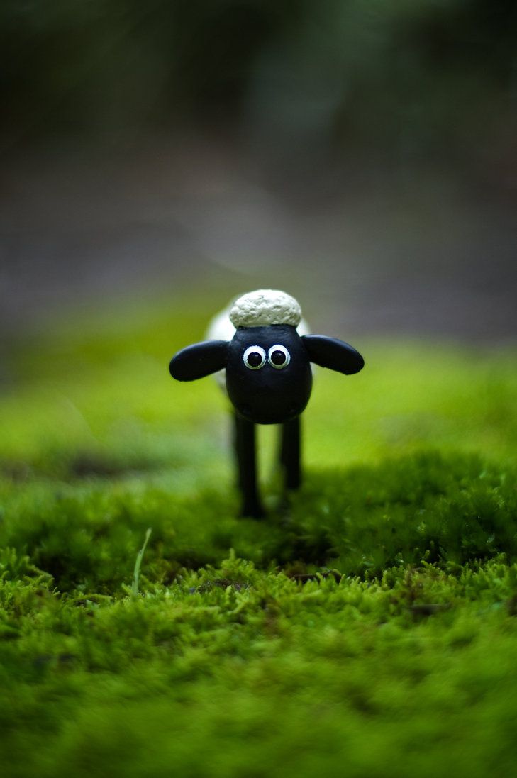 Shaun the Sheep iPhone 5 Wallpaper