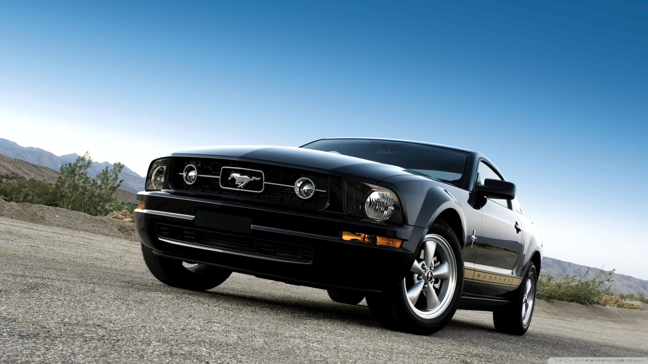 Ford Mustang Black Ultra HD Desktop