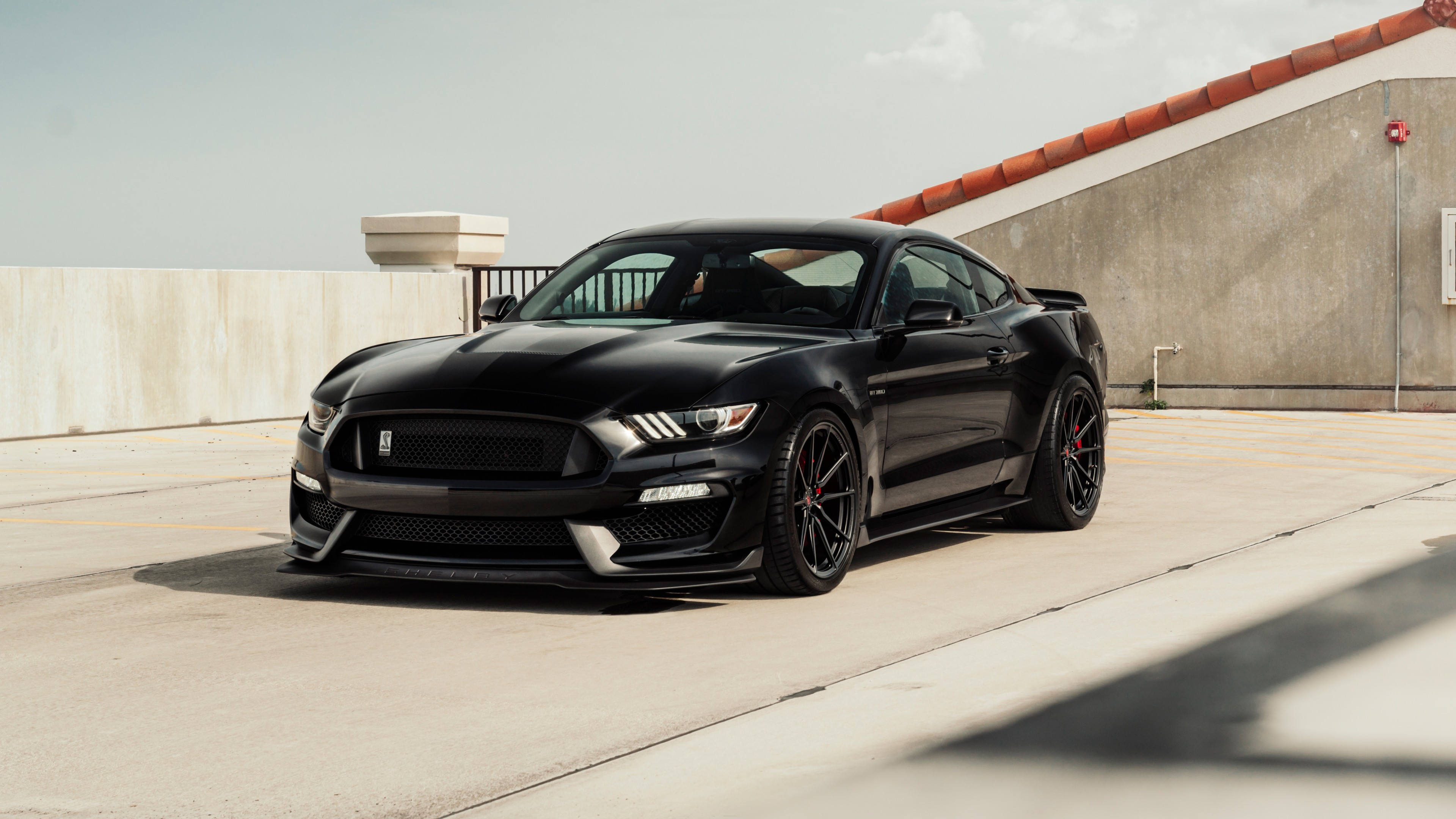 Black Ford Mustang 5K Wallpaper