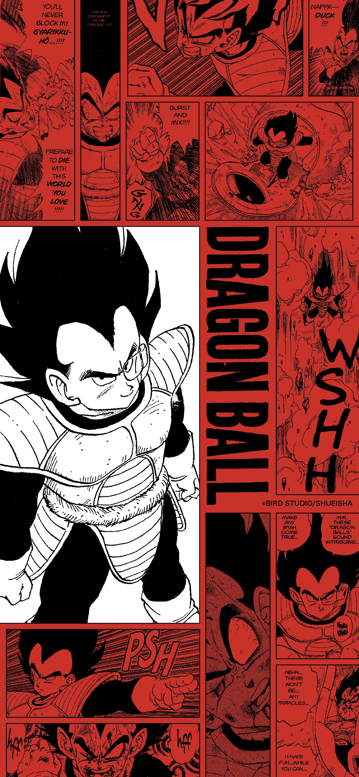 DRAGON BALL OFFICIAL've made