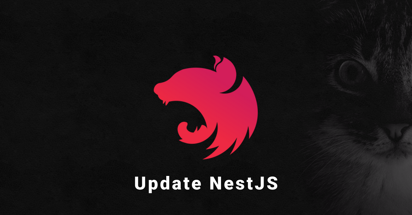 How To Update NestJS