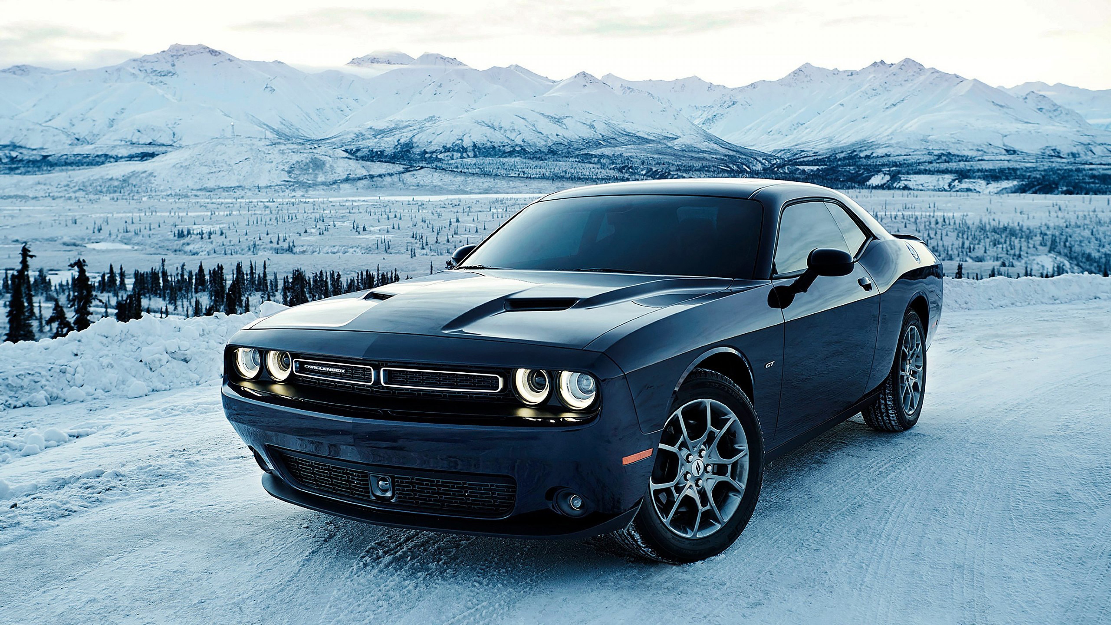 Dodge Challenger Car HD Wallpaper
