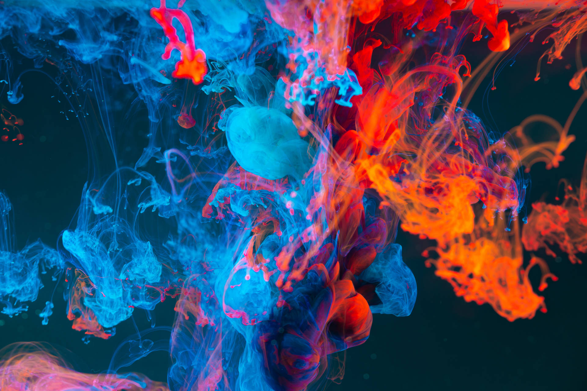 Download Oled Wallpaper for FREE 100