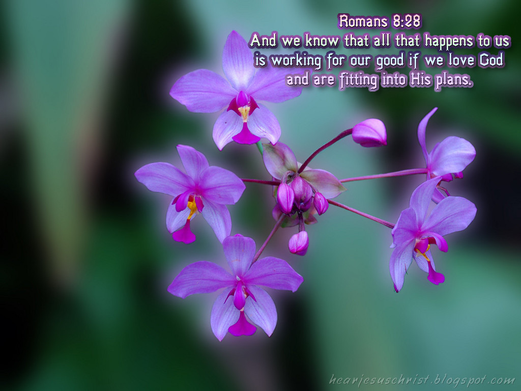 Christian Wallpaper: Bible Verse