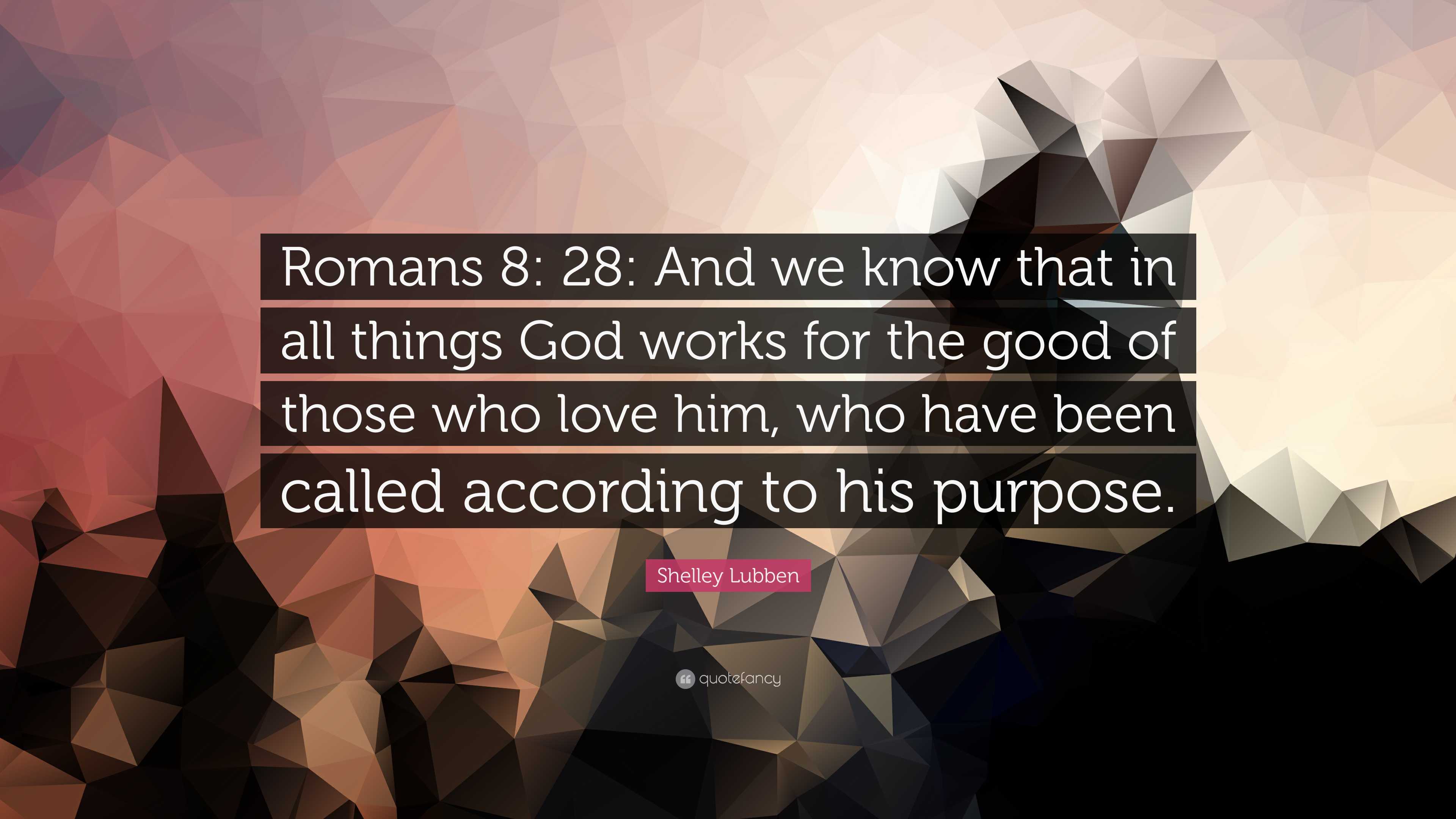 Shelley Lubben Quote: “Romans 8: 28