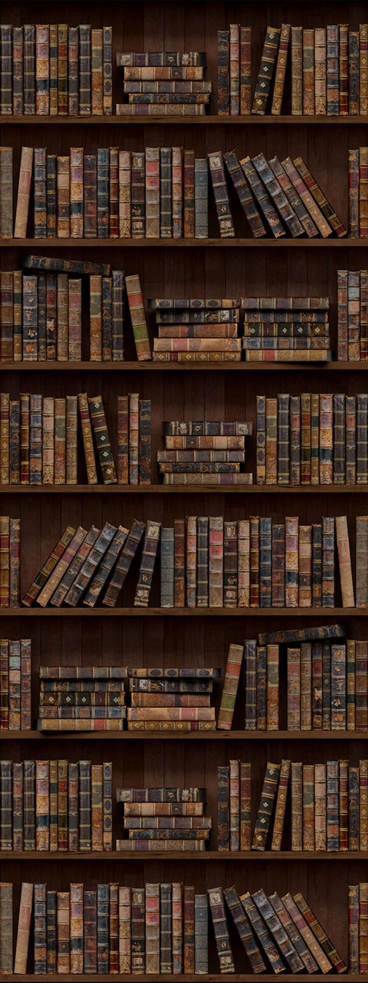 Door Mural, Door Wrap, Bookcase Door