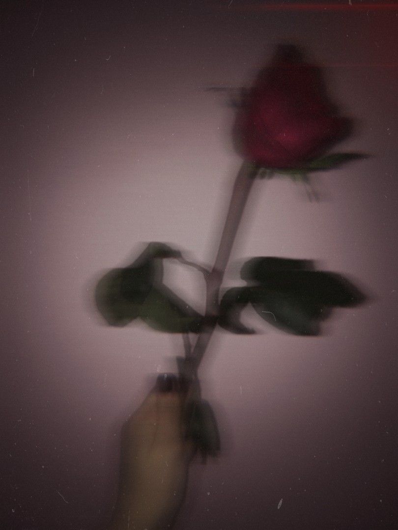 Ethereal Beauty: Rose Aesthetic