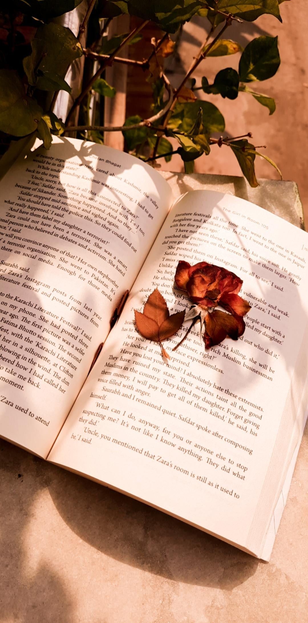 Preserved Sunkissed Rose in a Book