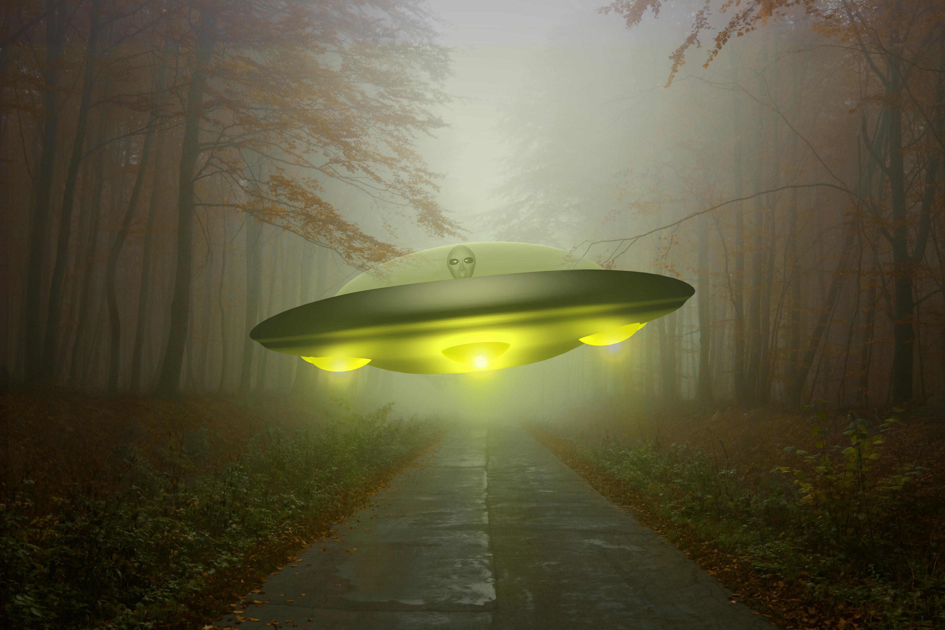 Alien Forest Spaceship Sci Fi UFO 4k