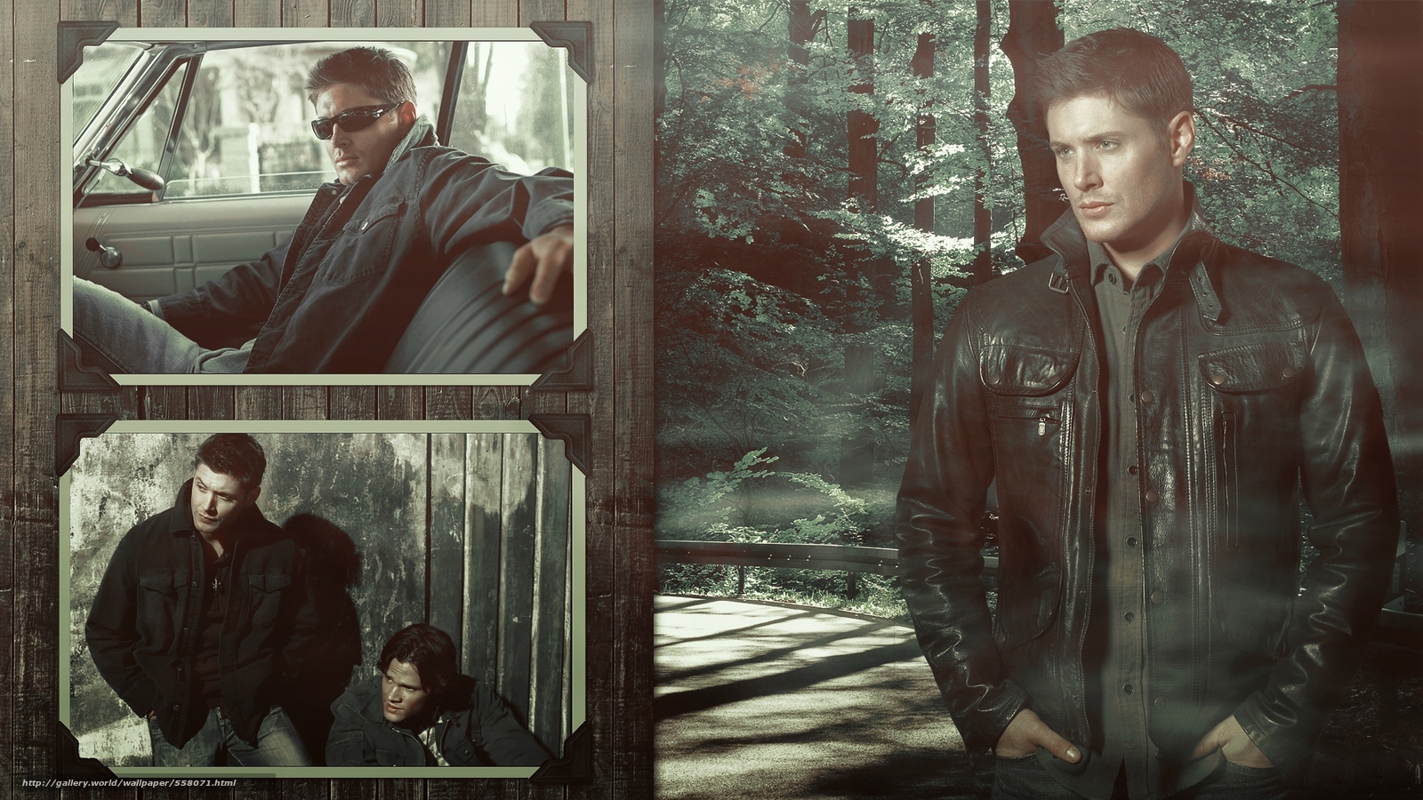 Download wallpaper Supernatural, Jensen