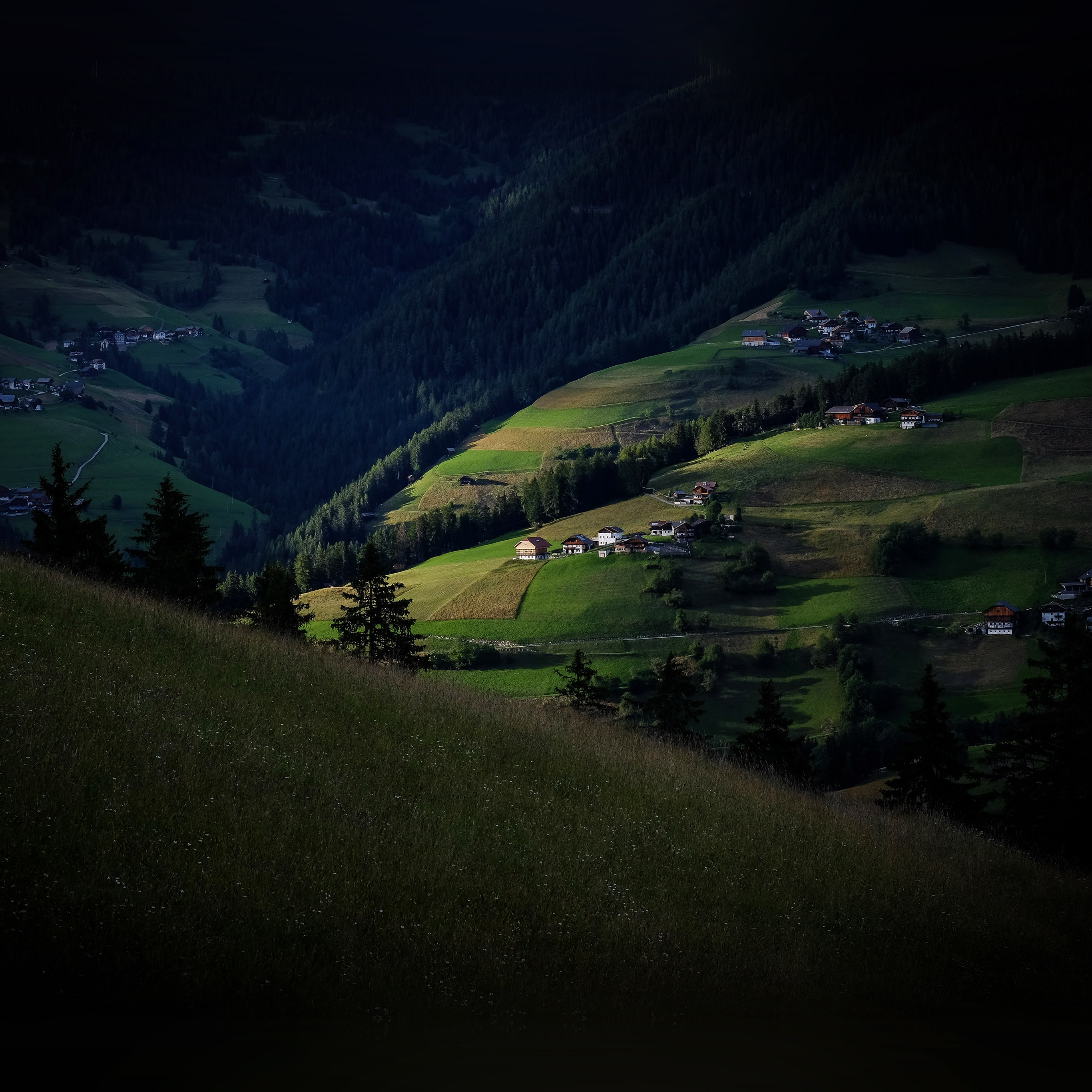 Android wallpaper. ne03