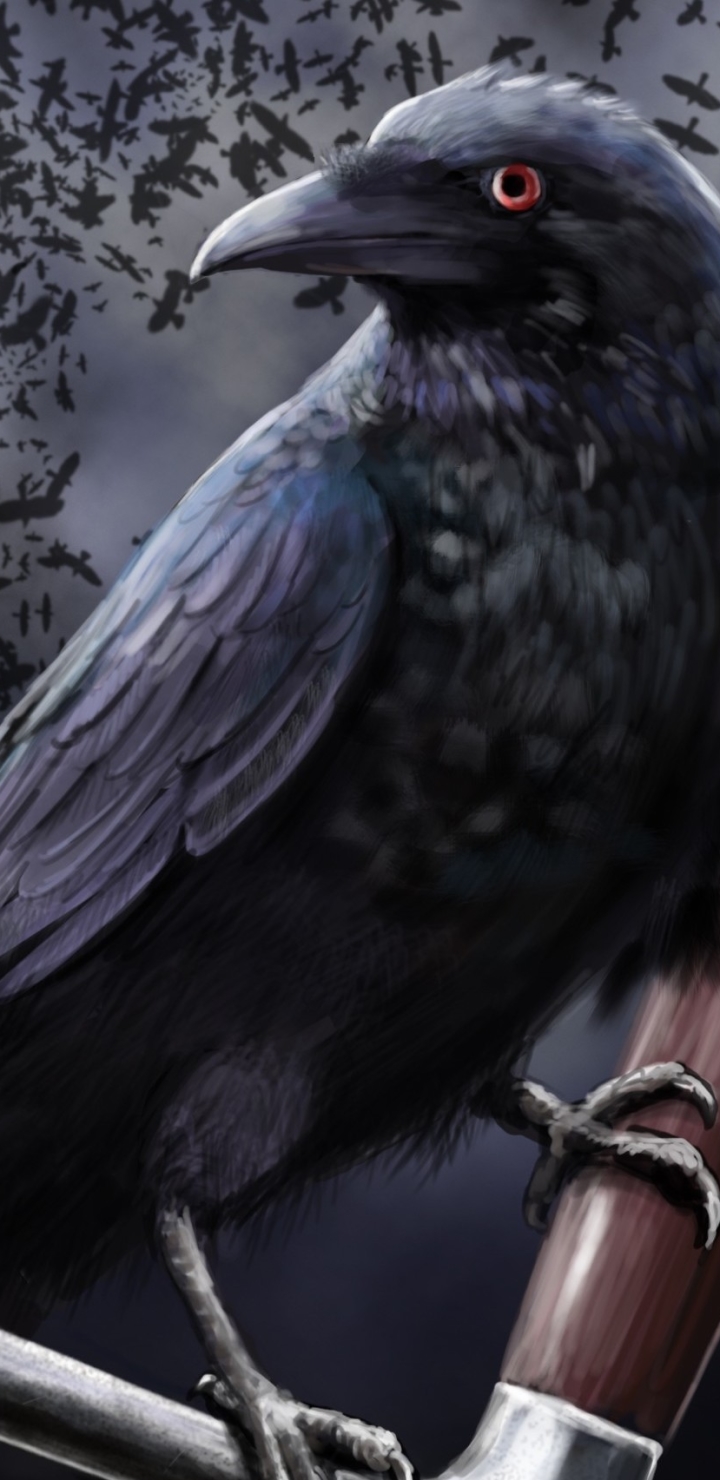 Crow Phone Wallpaper