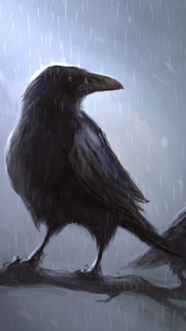 Bird, Animal, Raven, Crow, 1209230