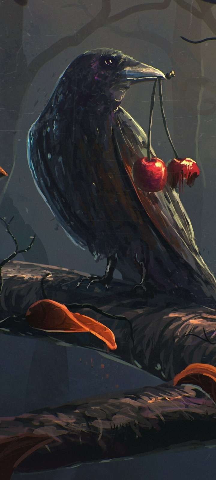 Download Animal Crow Phone Wallpaper