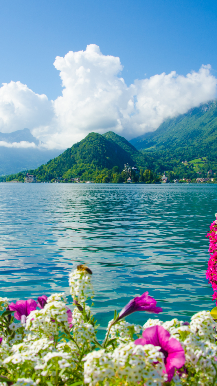 Mobile wallpaper: Lakes, Lake, Flower