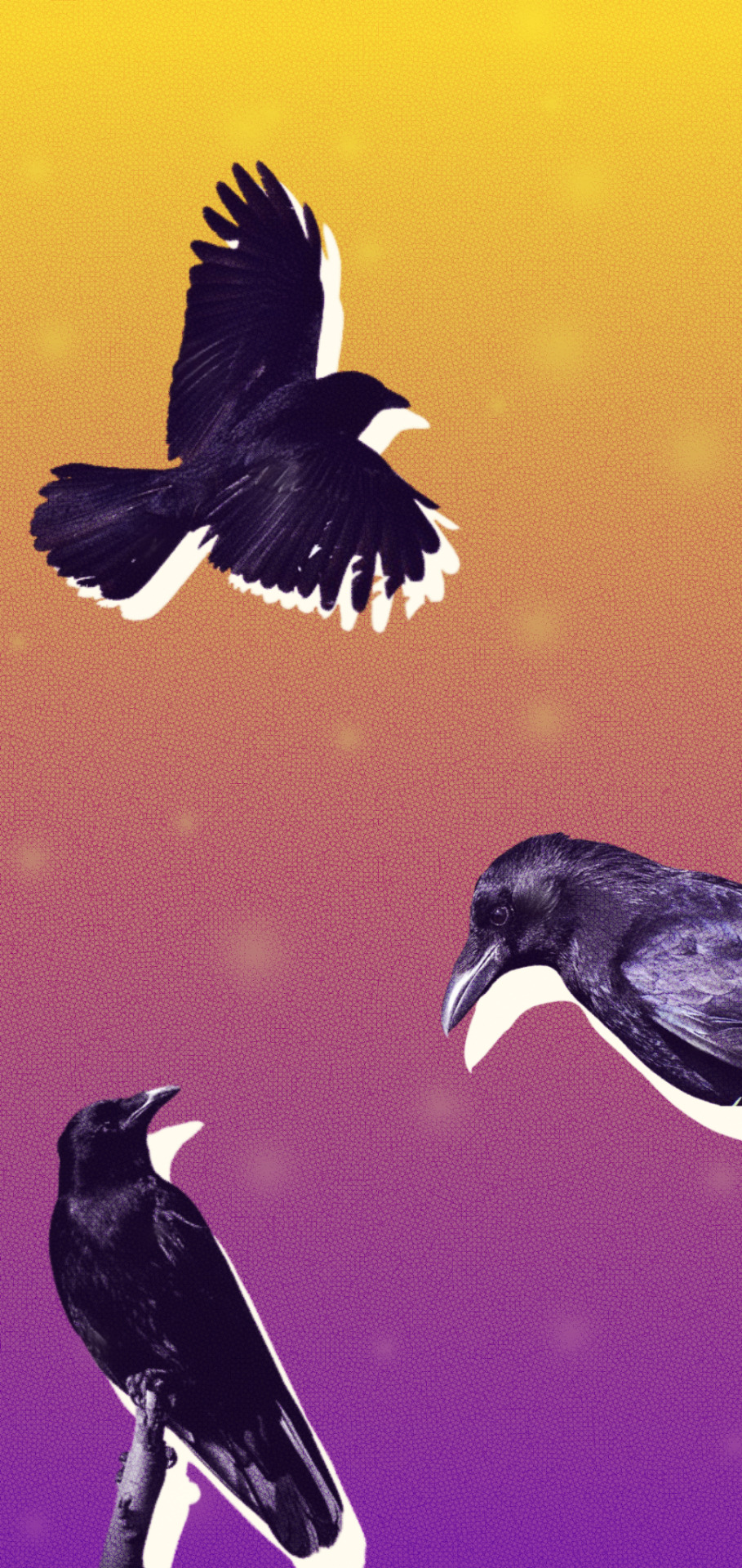 Nonbinary Crow Corvid Wallpaper