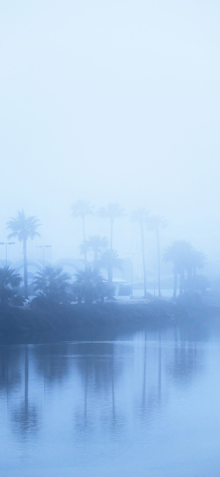 Blue Lake Surrounded By Simple Trees 4K