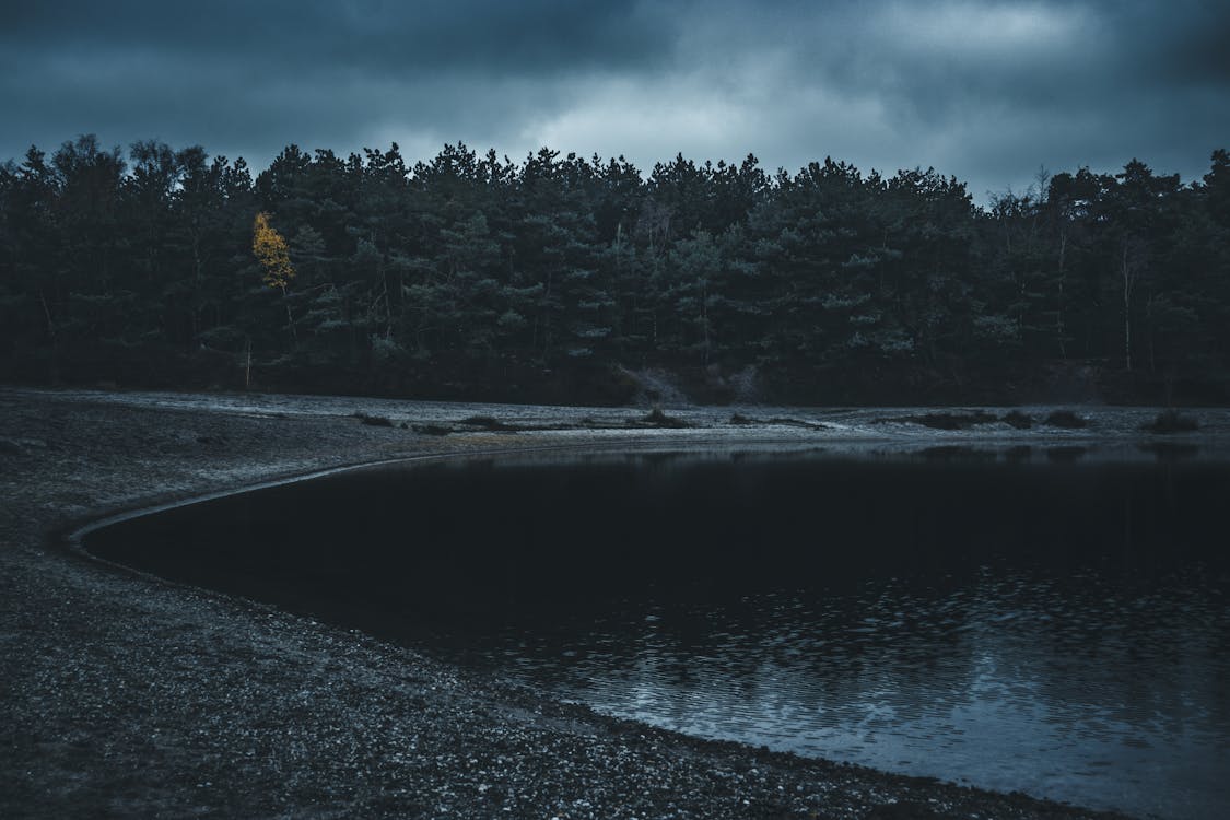 Dark, Blue Toned Image of a Landscape