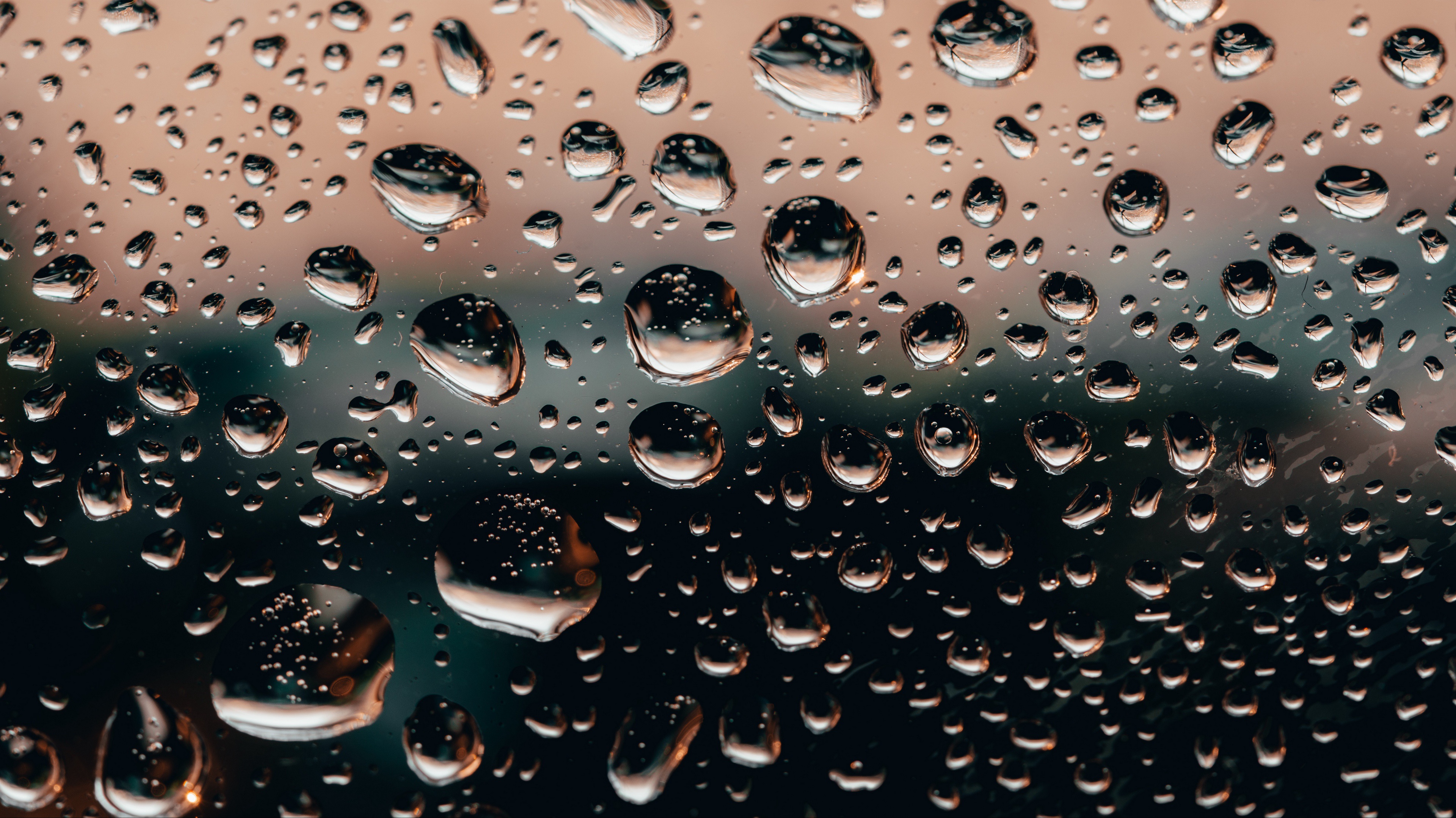Photography Raindrops 4k Ultra HD Wallpaper