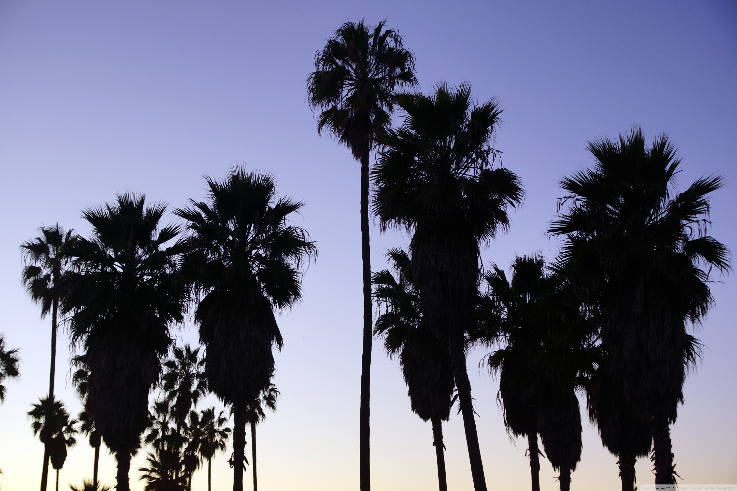 Ultra HD Desktop Background Wallpaper