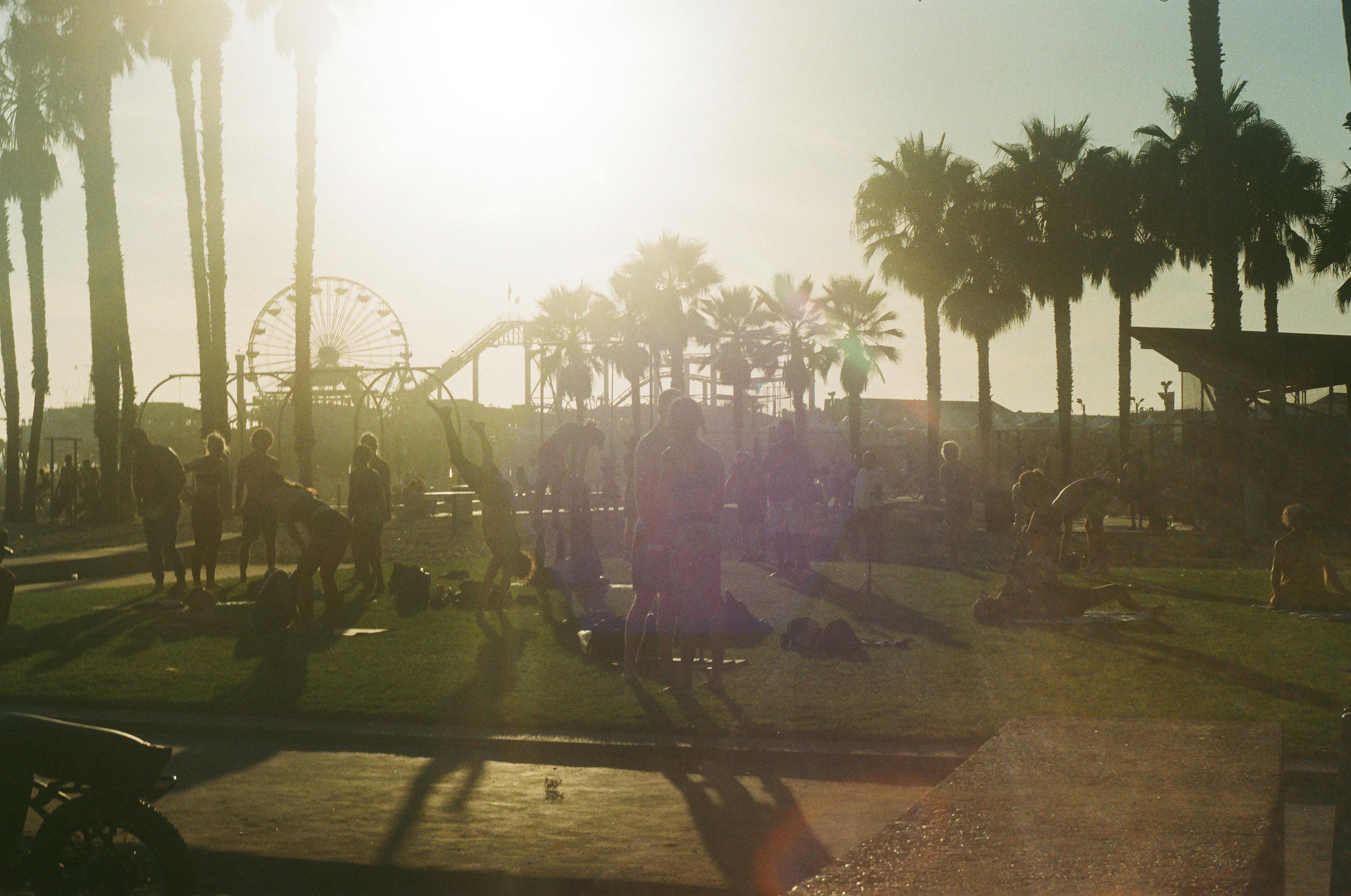 Venice California Photo, Download