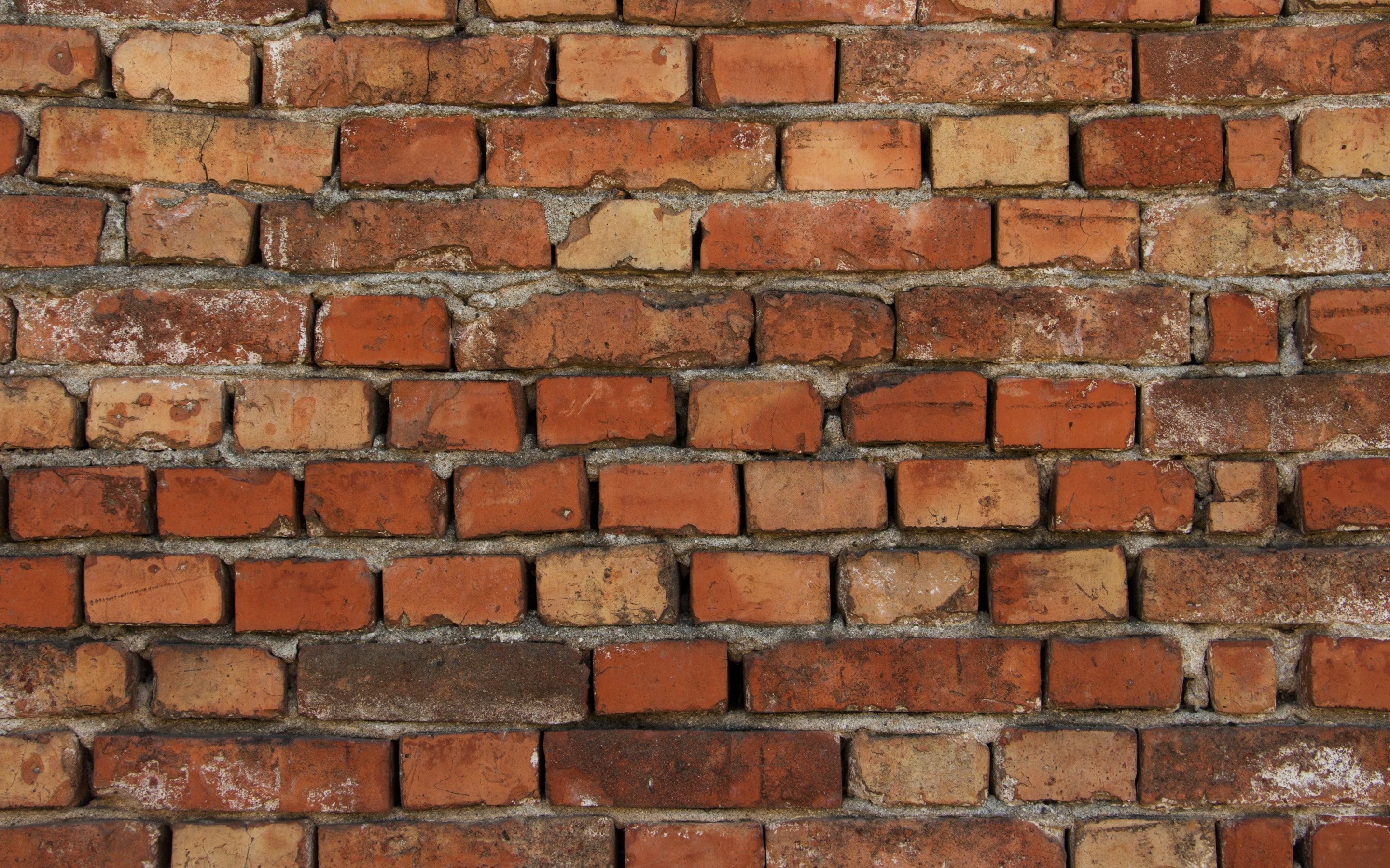 #photography #WALL #brick 4k
