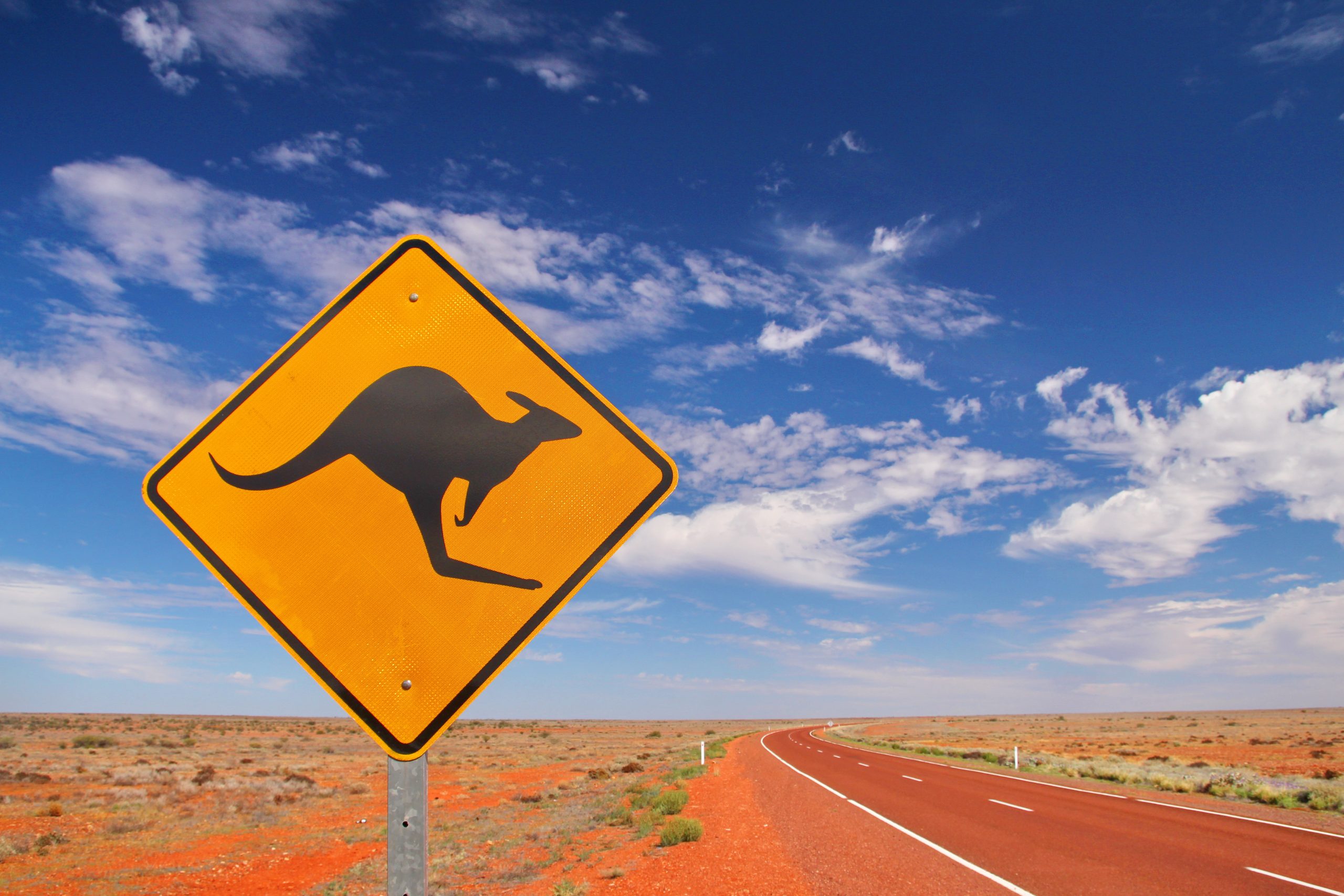 Kangaroo Sign