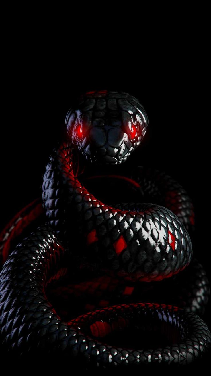 Black Snake IPhone Wallpaper