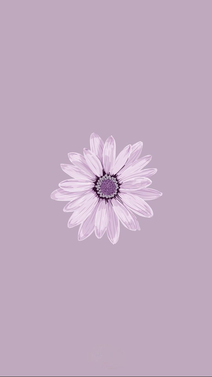 purple flower mobile wallpaper