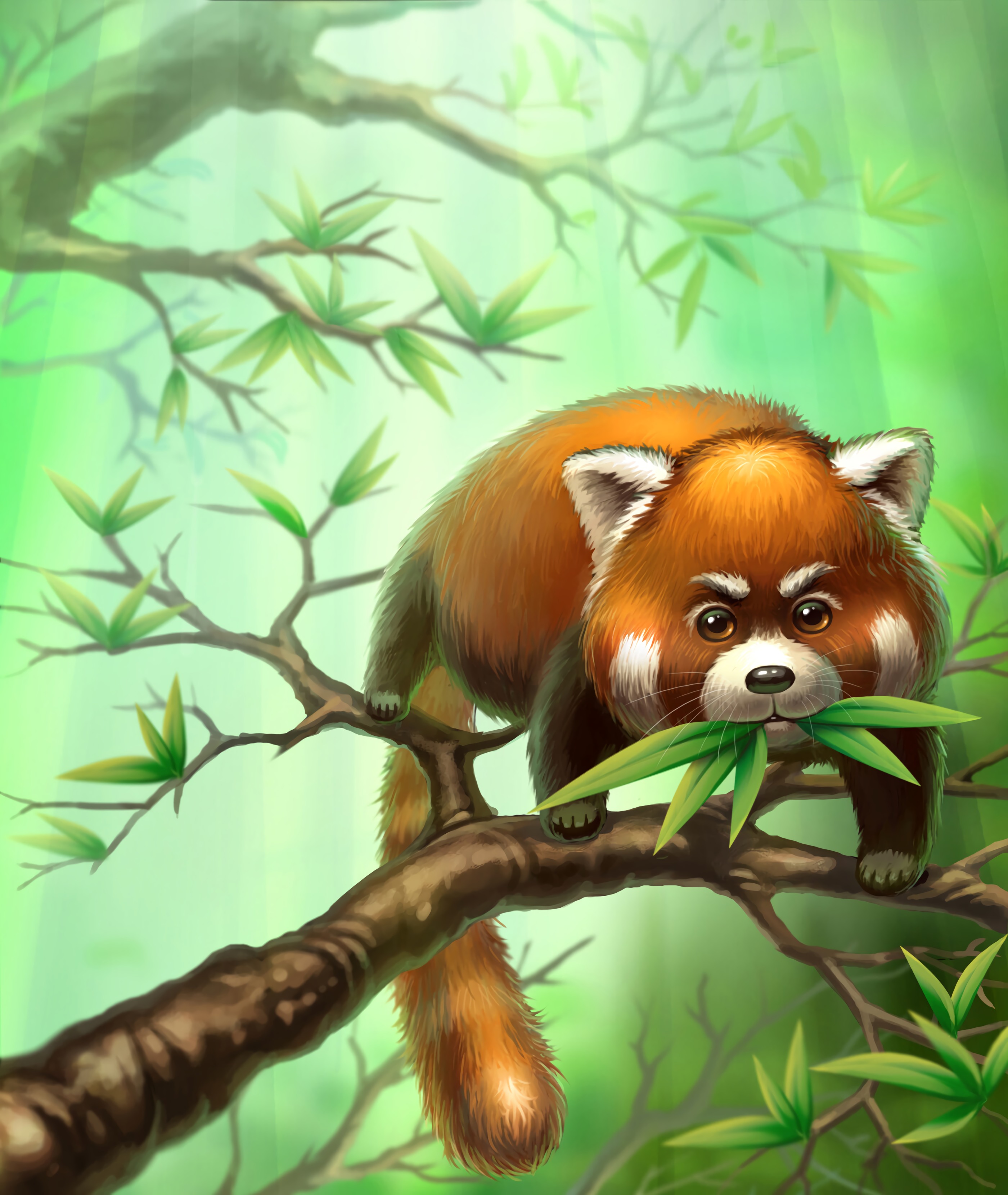 Red Panda wallpaper for mobile phone
