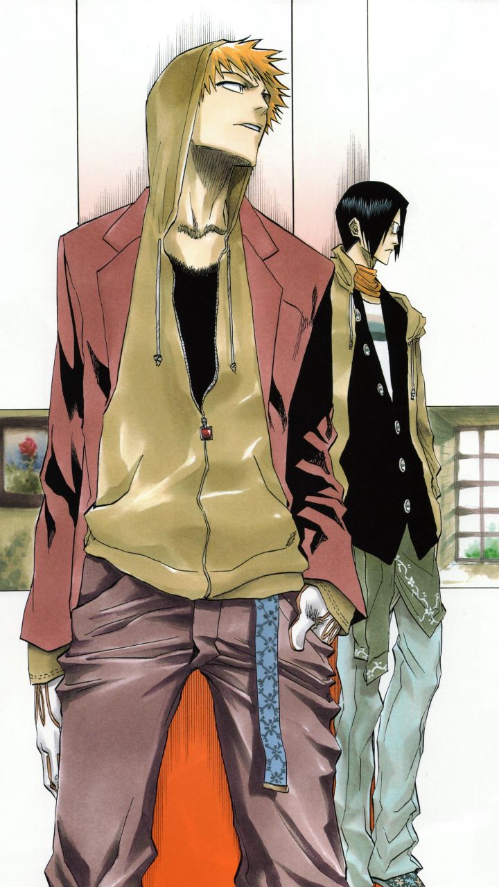 Bleach (anime), Anime, Manga art