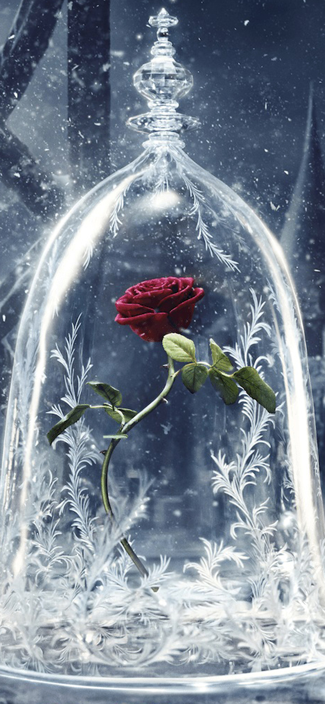 Disney Beauty Beast Art Illustration