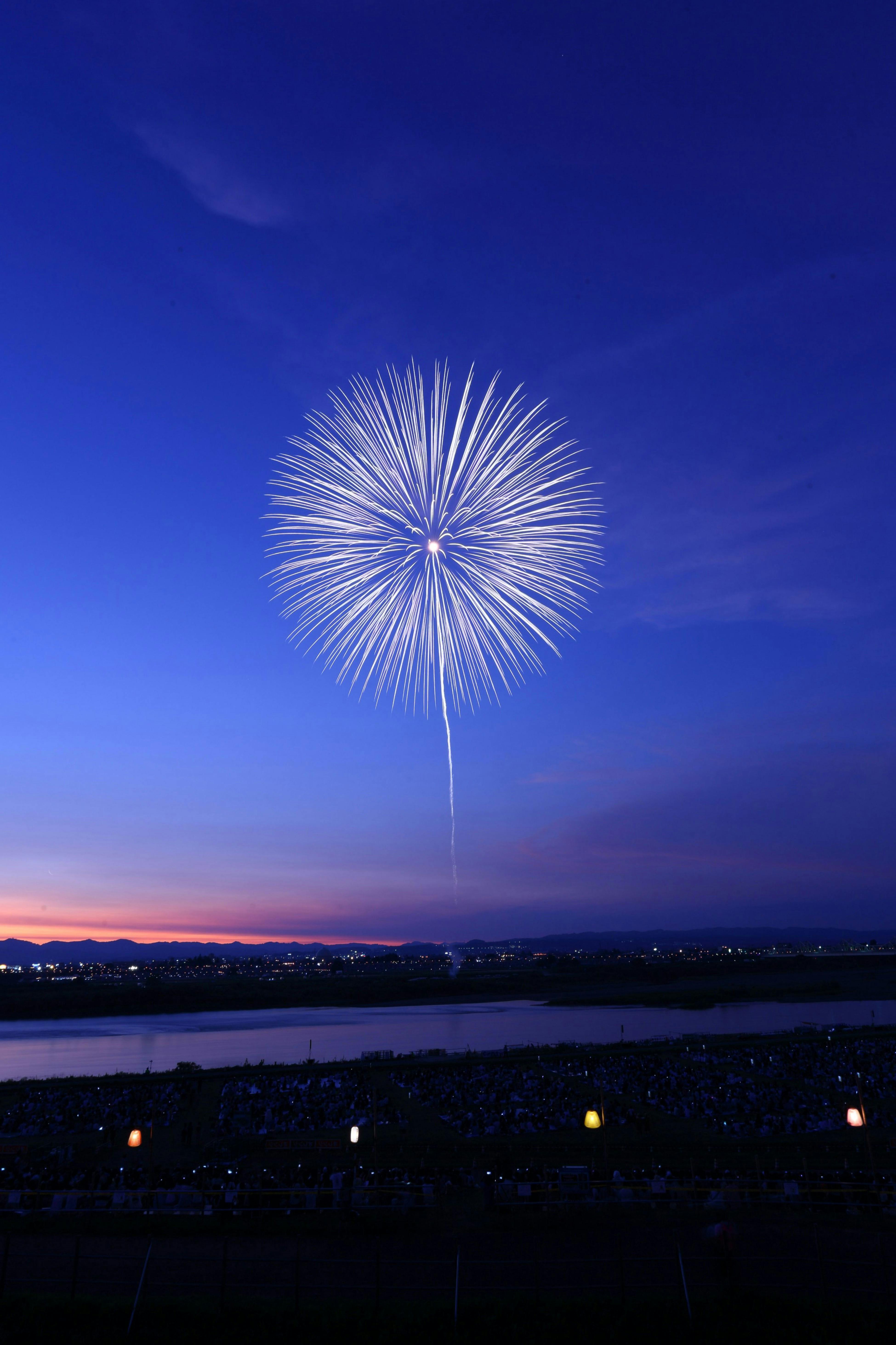 Fireworks Background Photo, Download