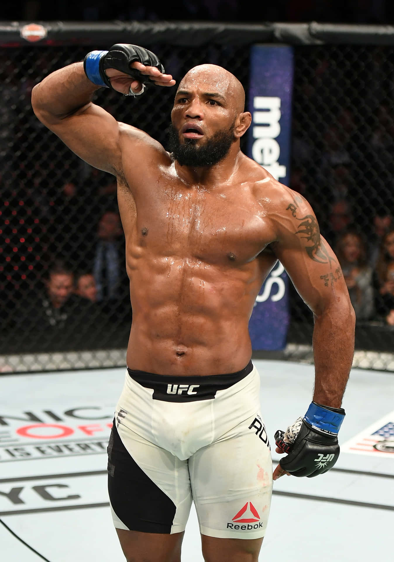 Yoel Romero Wallpaper