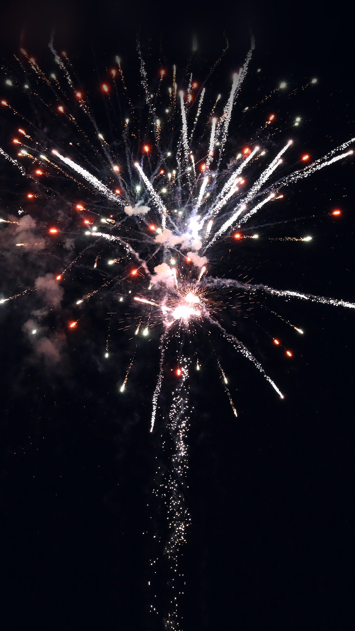 Firework Art Night Sky City Party