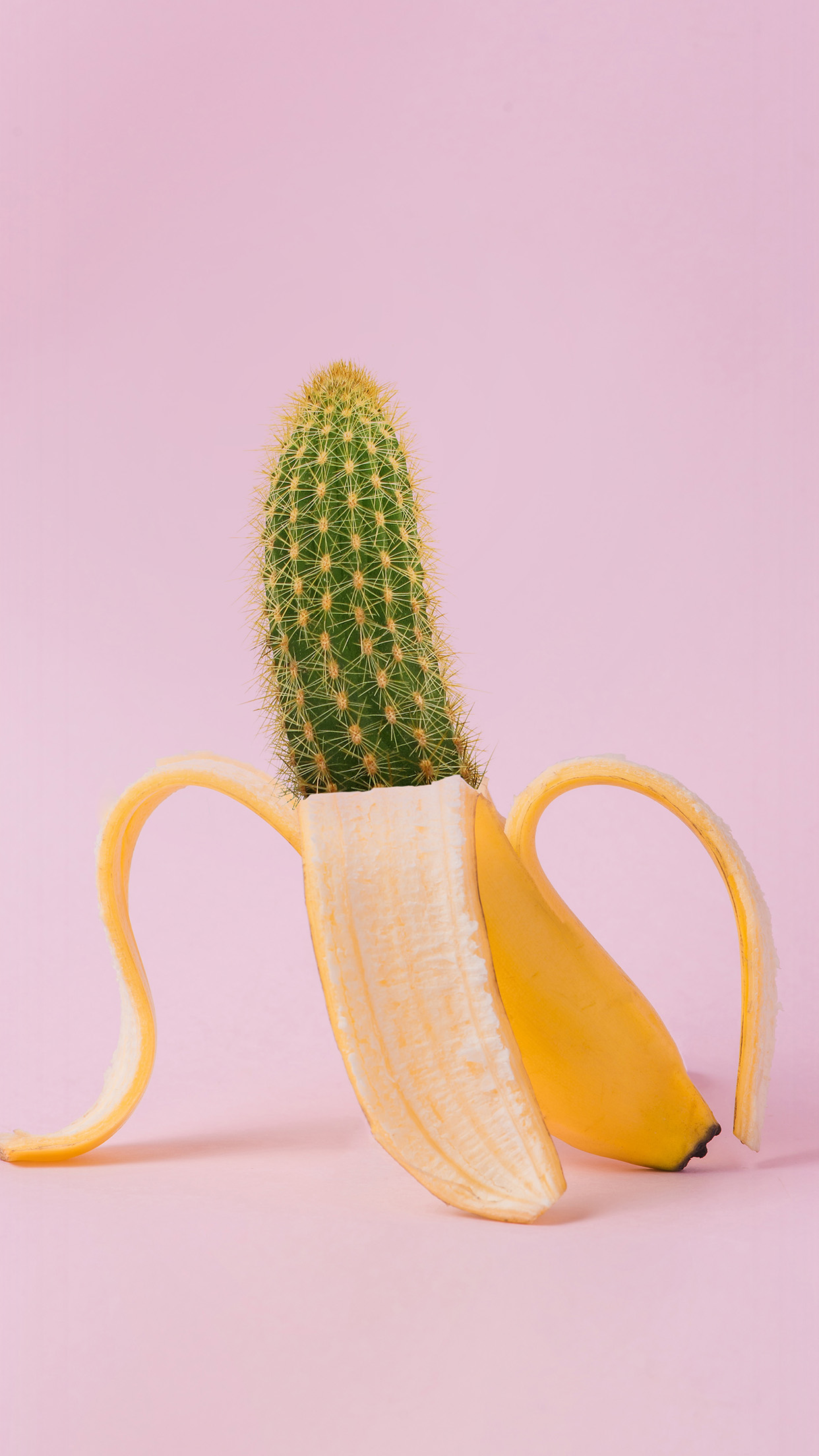 iPhone 6 wallpaper. art banana cactus