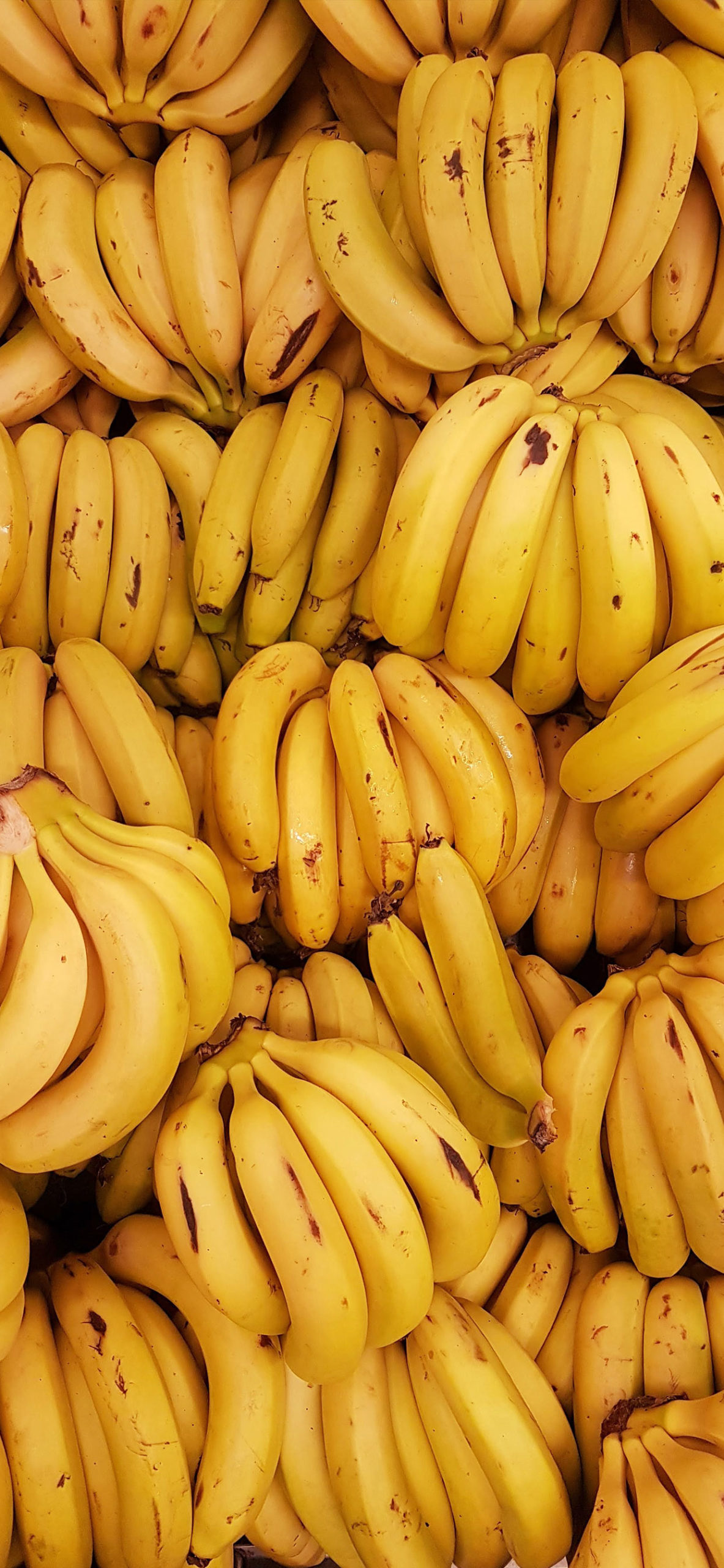 Bananas Wallpaper for iPhone 11, Pro