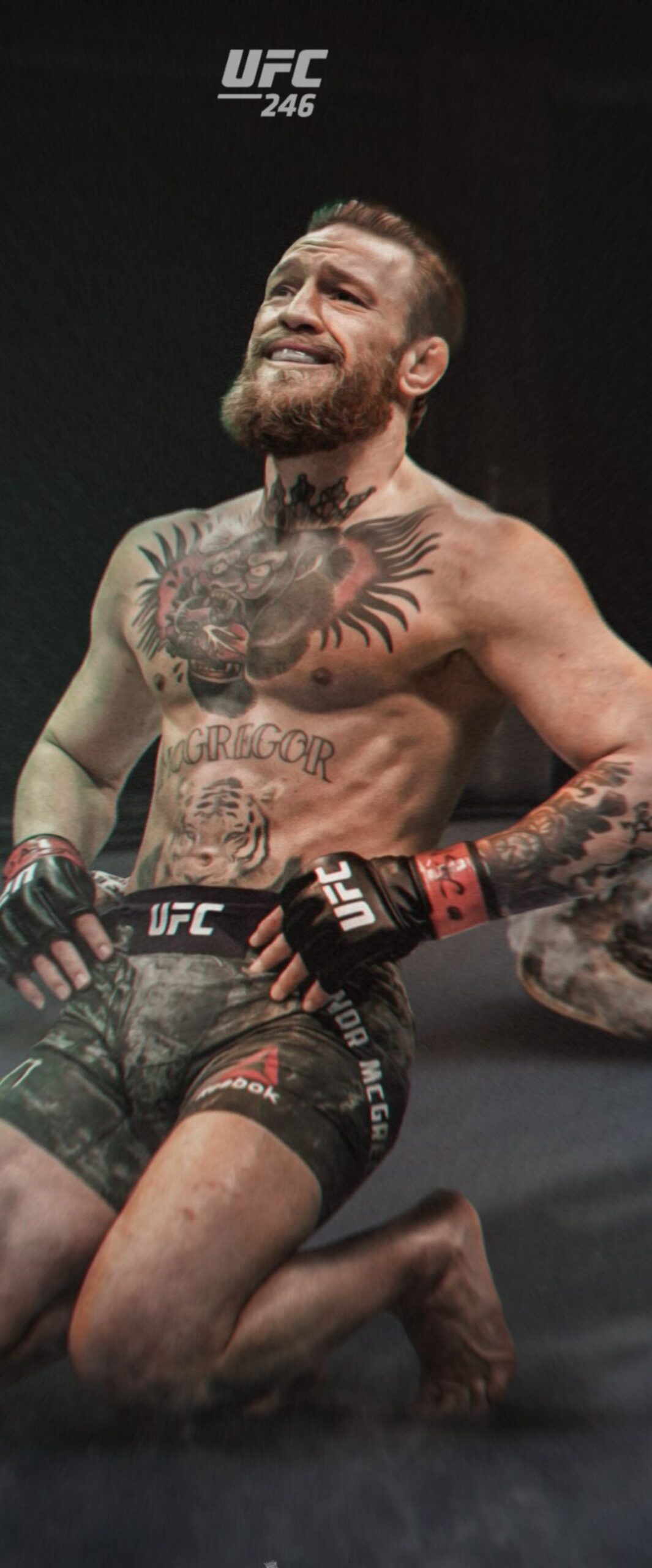 Best MMA Fighter iPhone Wallpaper 4k